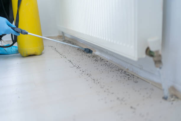 Best Pest Prevention Services  in Sanger, CA